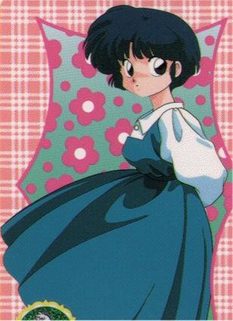  Character Special Ranma 1 2 Part 1 anime west 